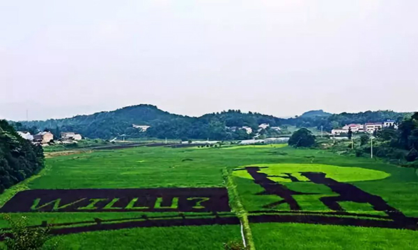 长沙十大夏日露营基地推荐：给自己挑个狂欢地！